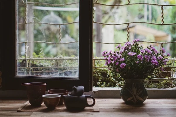 Geranium Budworms: How to Spot and Stop Them Fast